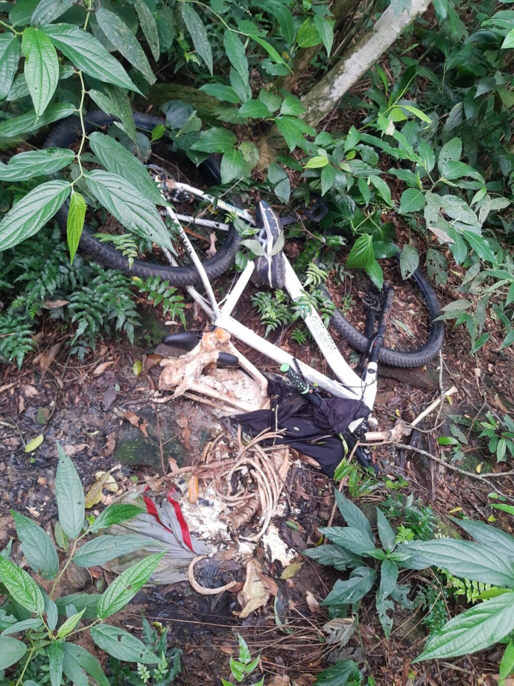 WhatsApp Image 2023-12-13 at 13.20.08