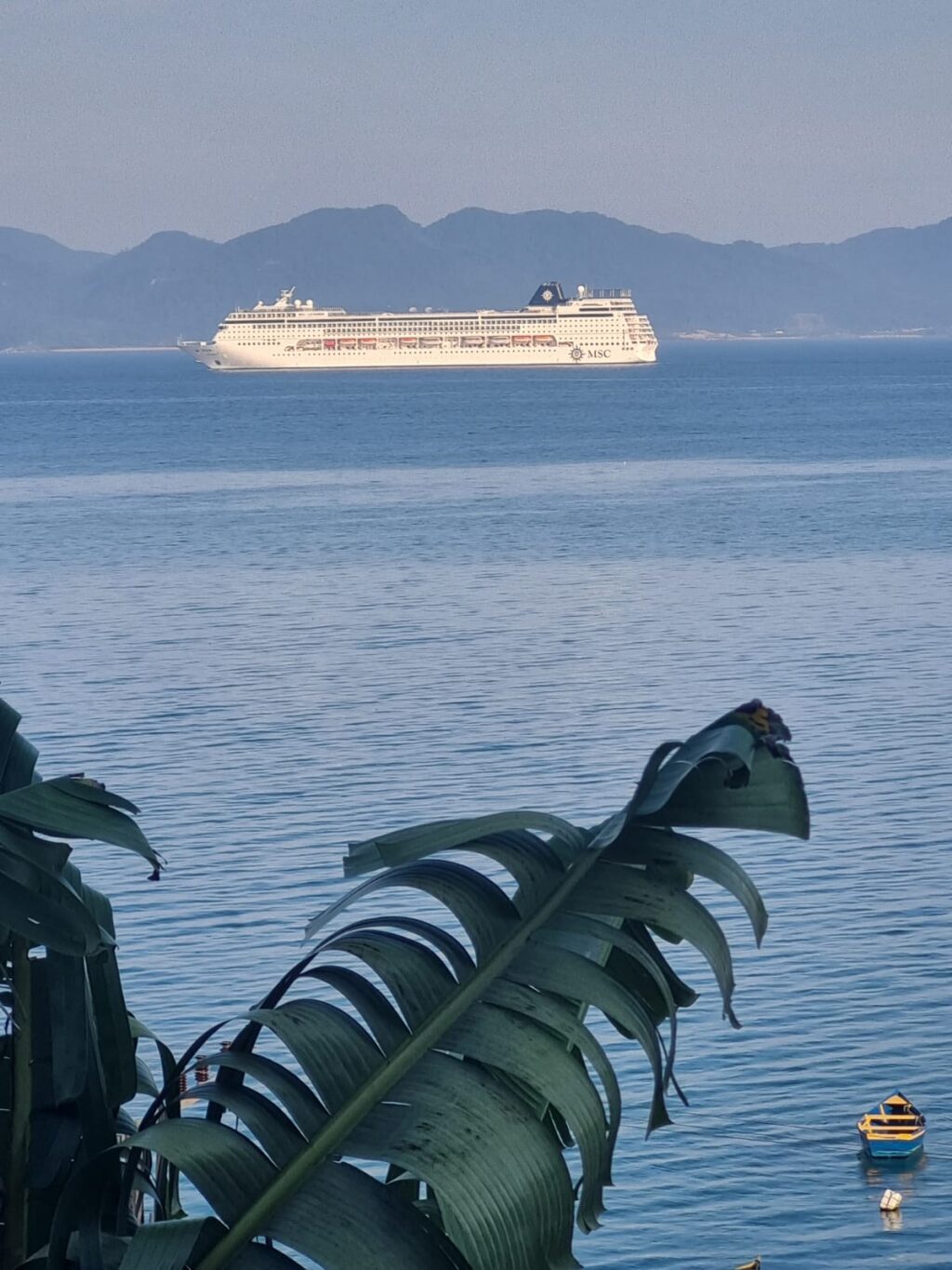 WhatsApp Image 2024-02-06 at 07.36.26