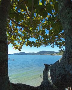 pro1_992videomaker_1711458887845