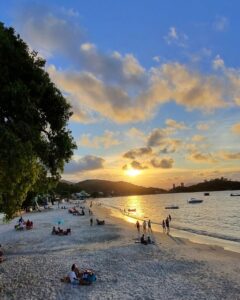 suzimelo2_1711458923594 (1)