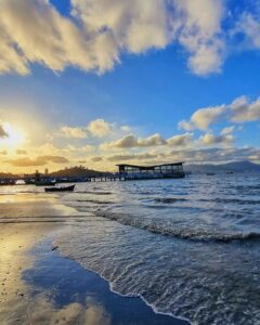 suzimelo2_1711458923594