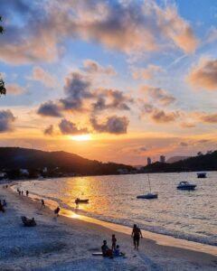 suzimelo2_1711458925970