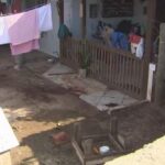 Quatro pitbulls matam homem em quintal de casa em Florianópolis