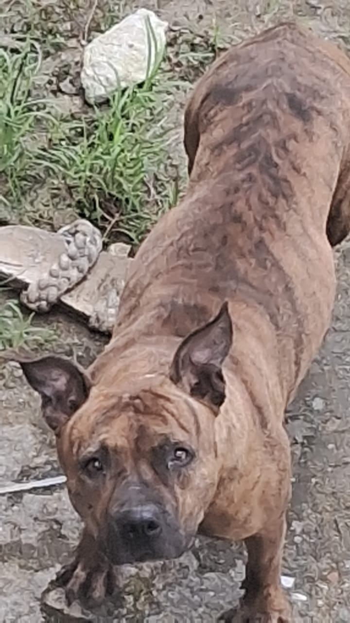 WhatsApp Image 2024-05-21 at 12.30.11