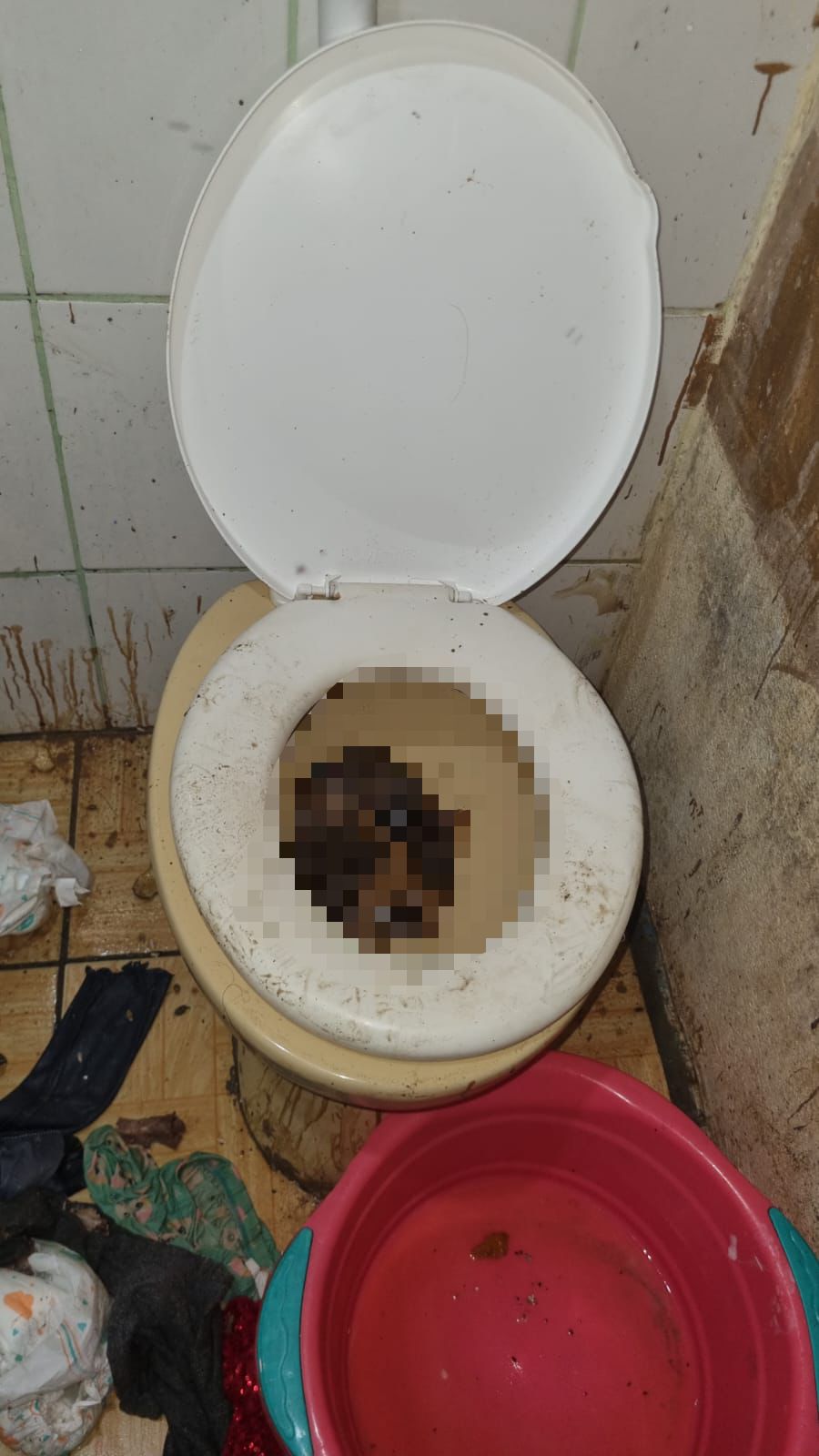 Snapinsta.app_449520246_18232149667263647_4429277076452306335_n_1080