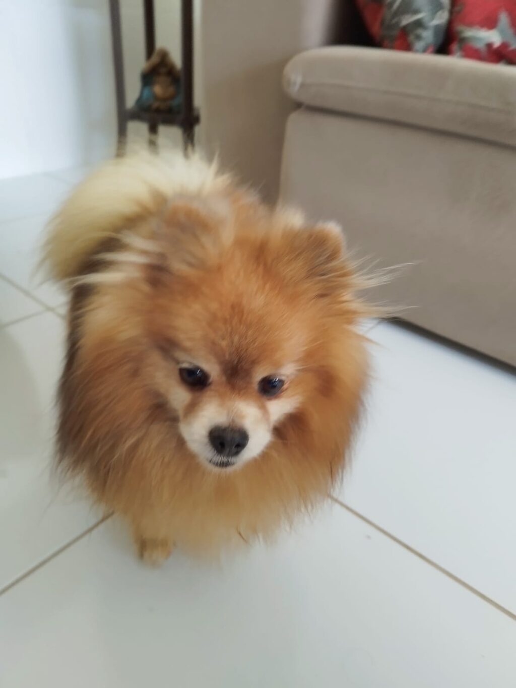 WhatsApp Image 2024-08-13 at 11.43.29