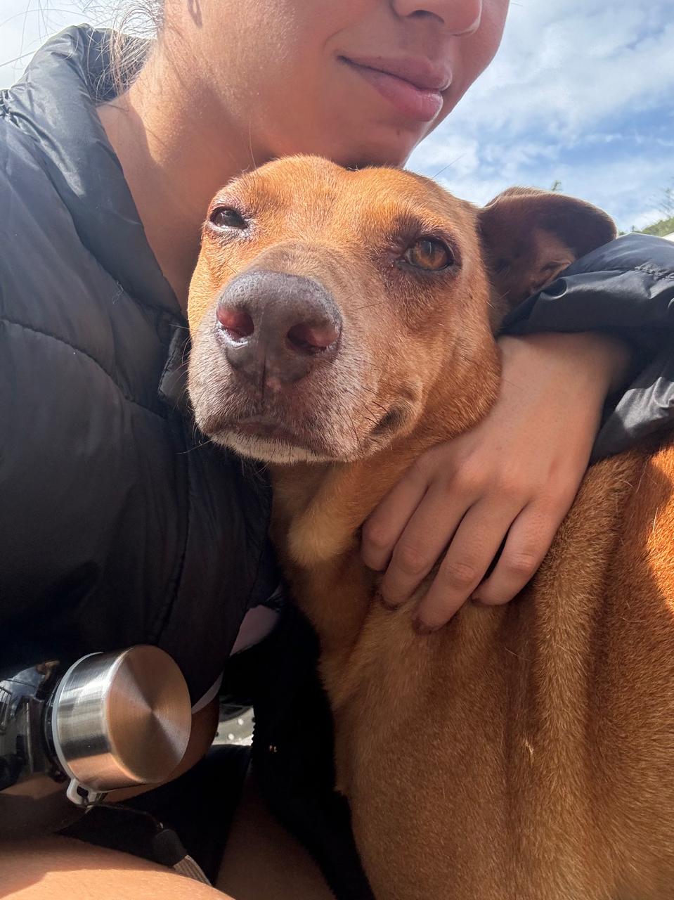 WhatsApp Image 2024-08-14 at 10.00.04