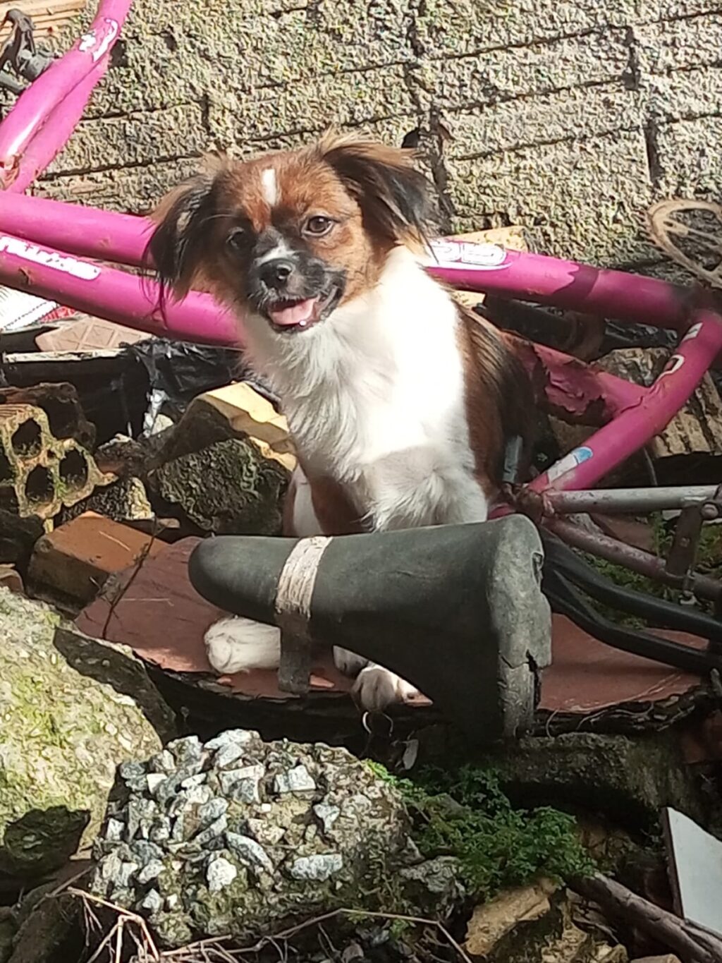 WhatsApp Image 2024-09-09 at 07.48.55(1)