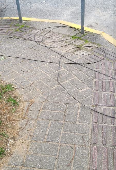 Capacitação de Forças de Segurança para o Uso de Sonômetros em Balneário Camboriú(17)