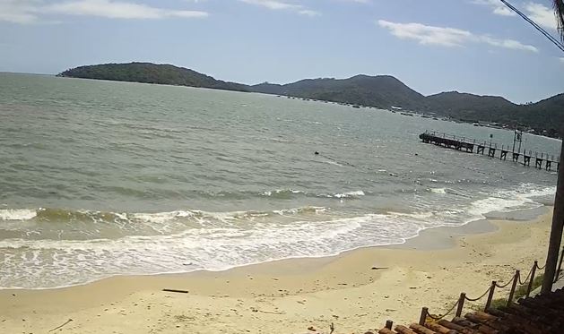 Nosso(14)