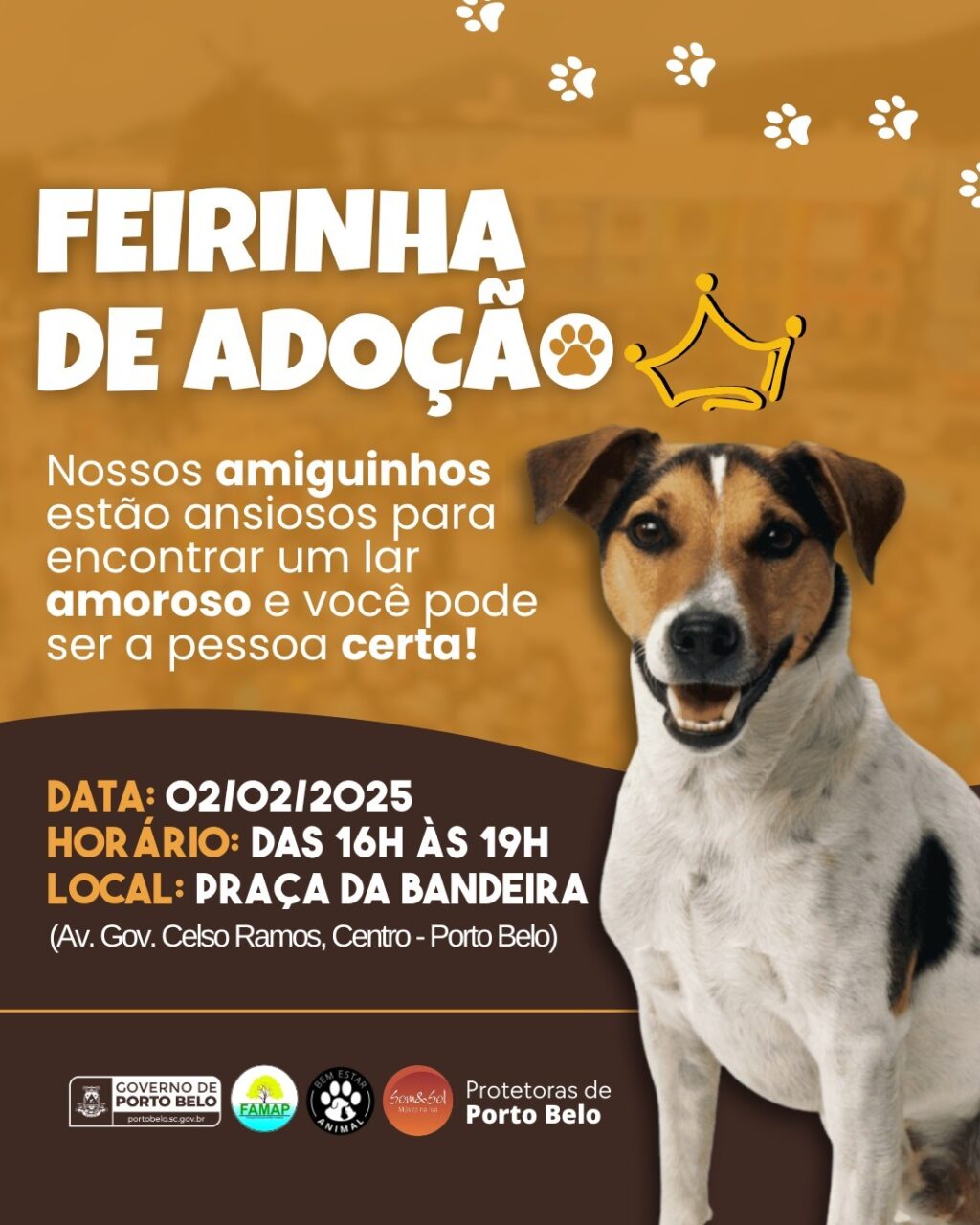 WhatsApp Image 2025-01-31 at 13.29.16