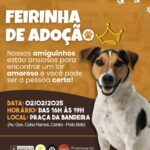 ​PORTO BELO REALIZARÁ FEIRINHA DE ADOÇÃO DE ANIMAIS NO PRÓXIMO DOMINGO