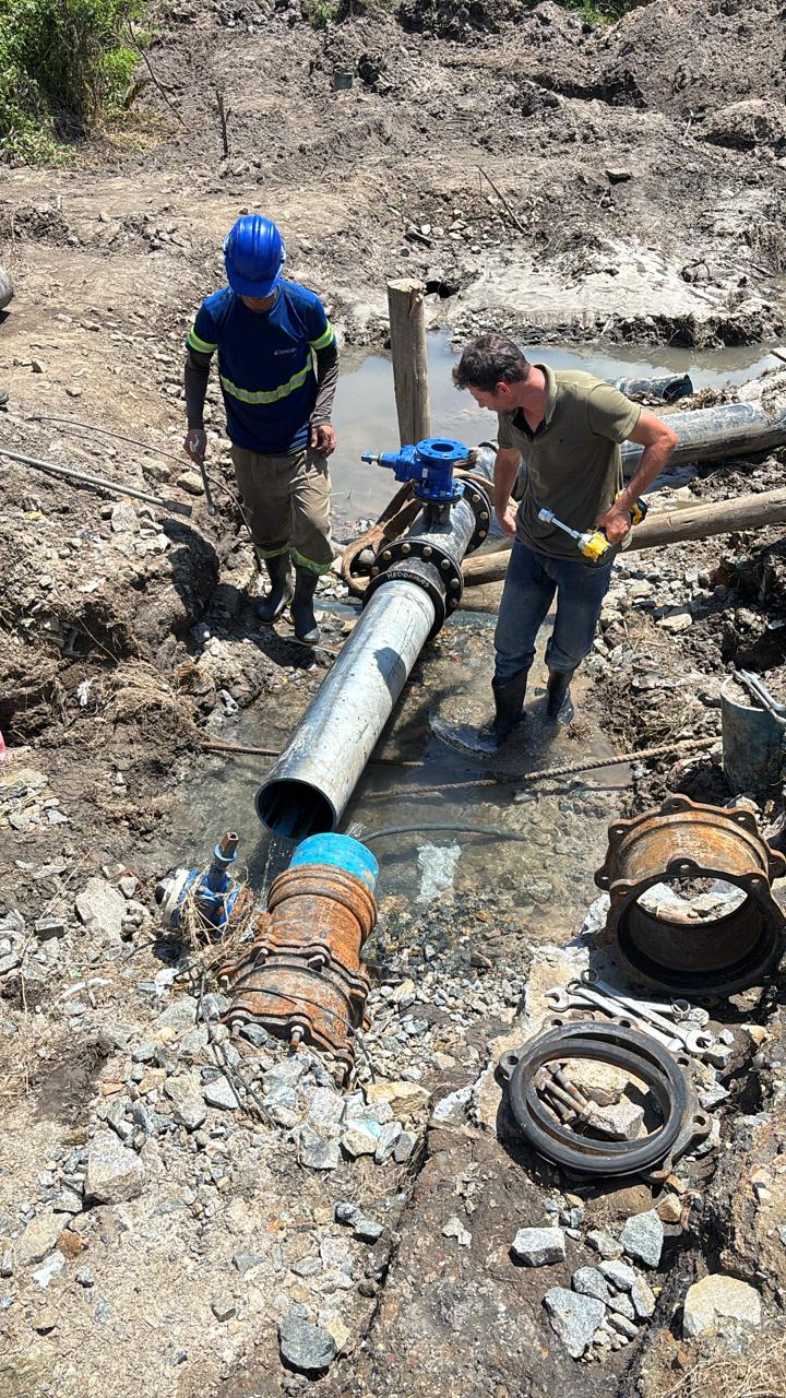 WhatsApp Image 2025-02-12 at 13.25.11