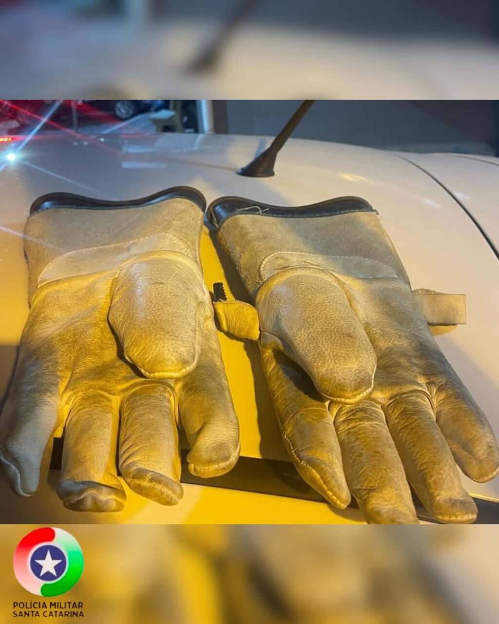 SaveClip.App_500285044_18126693565432304_5634051896722520261_n