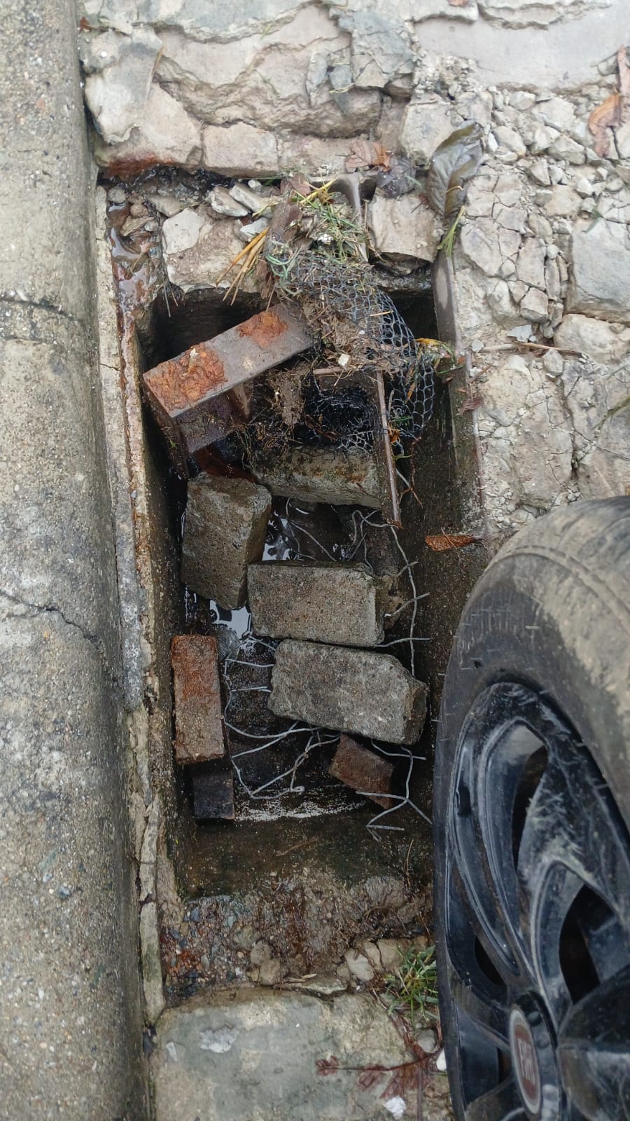 WhatsApp Image 2025-05-23 at 09.44.41