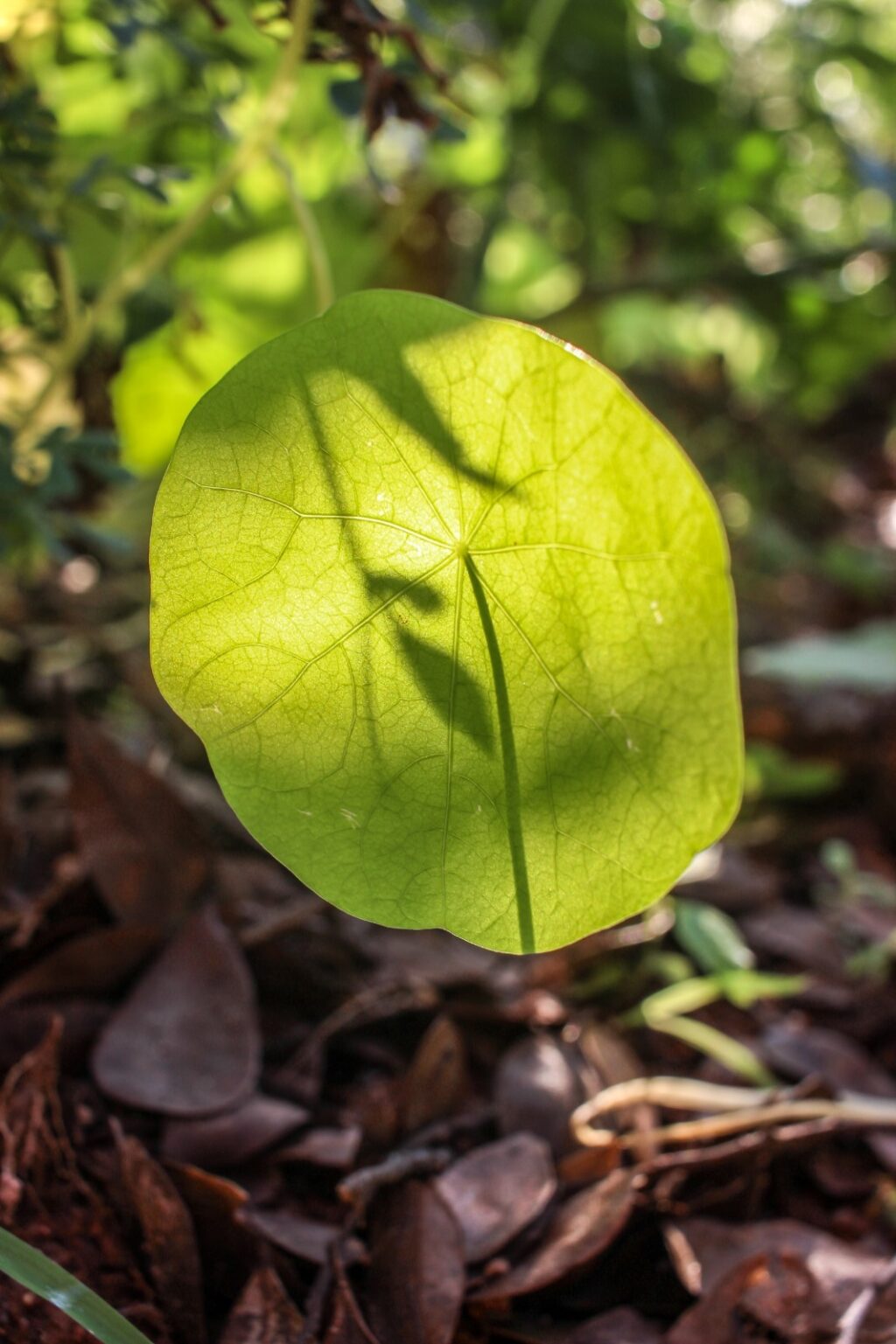 WhatsApp Image 2025-07-15 at 08.40.51