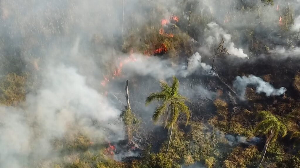 WhatsApp Image 2025-07-19 at 07.38.22