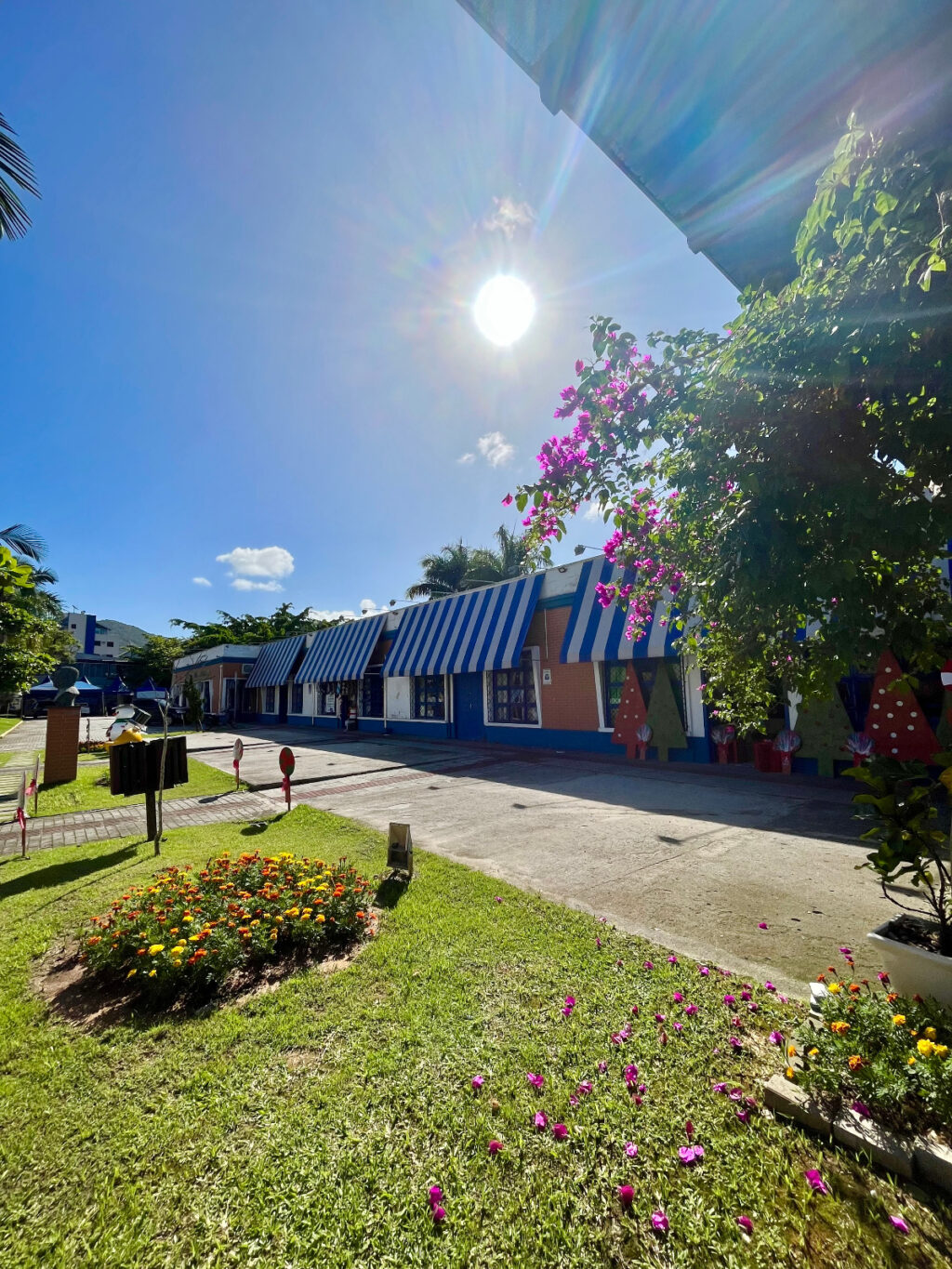 WhatsApp Image 2025-07-31 at 18.22.11