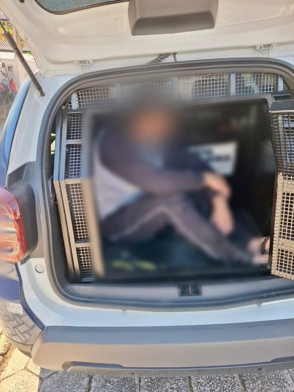 SaveClip.App_527167585_18066284429516852_3533596201346711433_n