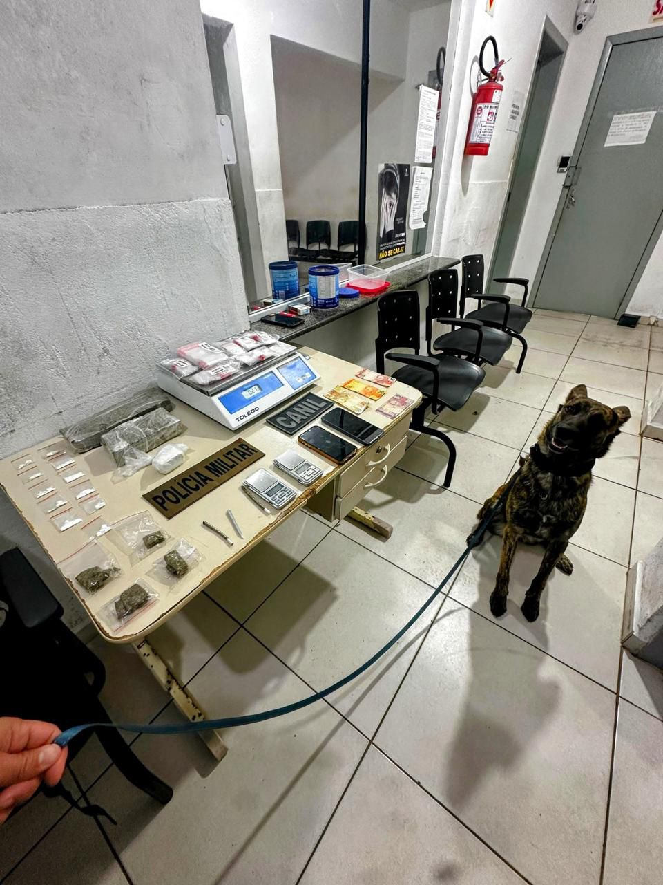 WhatsApp Image 2025-08-31 at 19.44.34