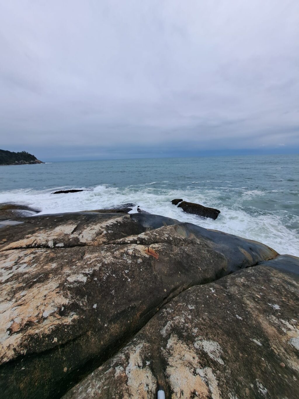 WhatsApp Image 2025-10-02 at 08.43.59