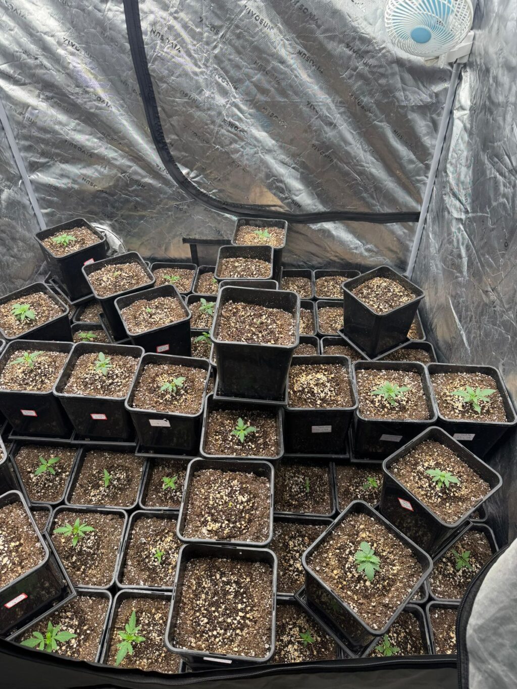 WhatsApp Image 2025-10-05 at 09.08.05