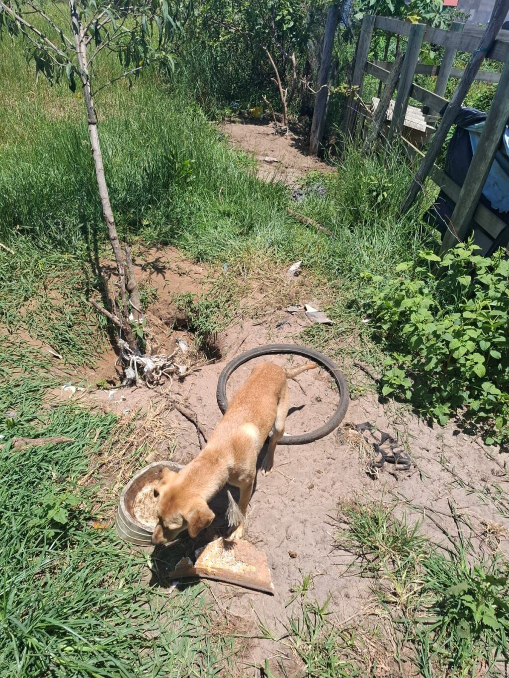 WhatsApp Image 2026-01-08 at 13.37.22