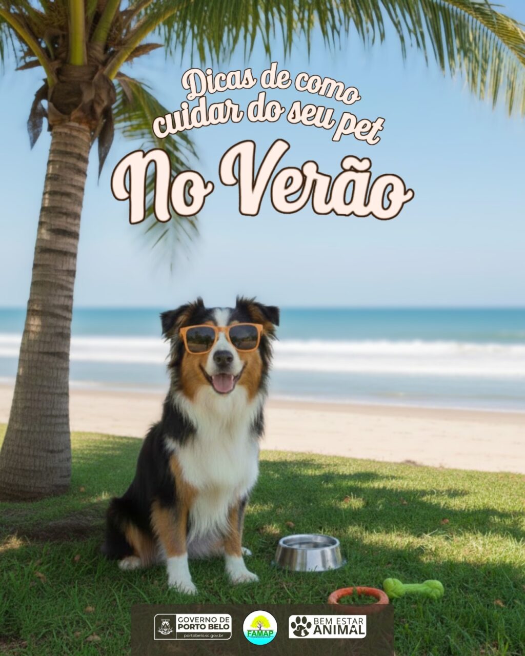 WhatsApp Image 2026-01-12 at 08.59.44