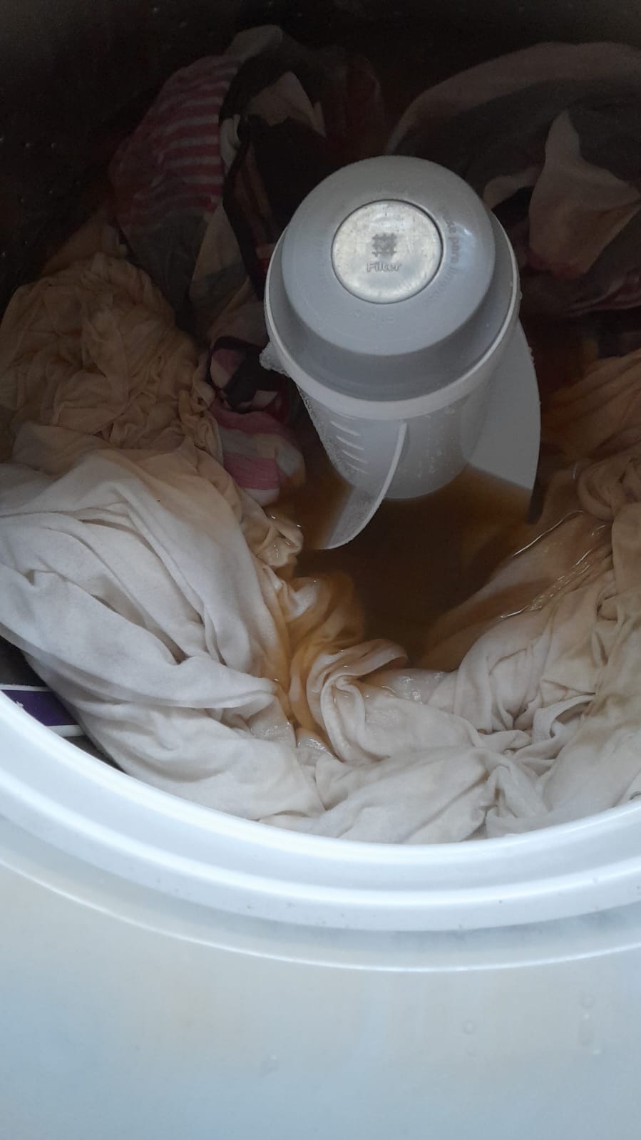 WhatsApp Image 2026-01-24 at 17.00.52 (1)