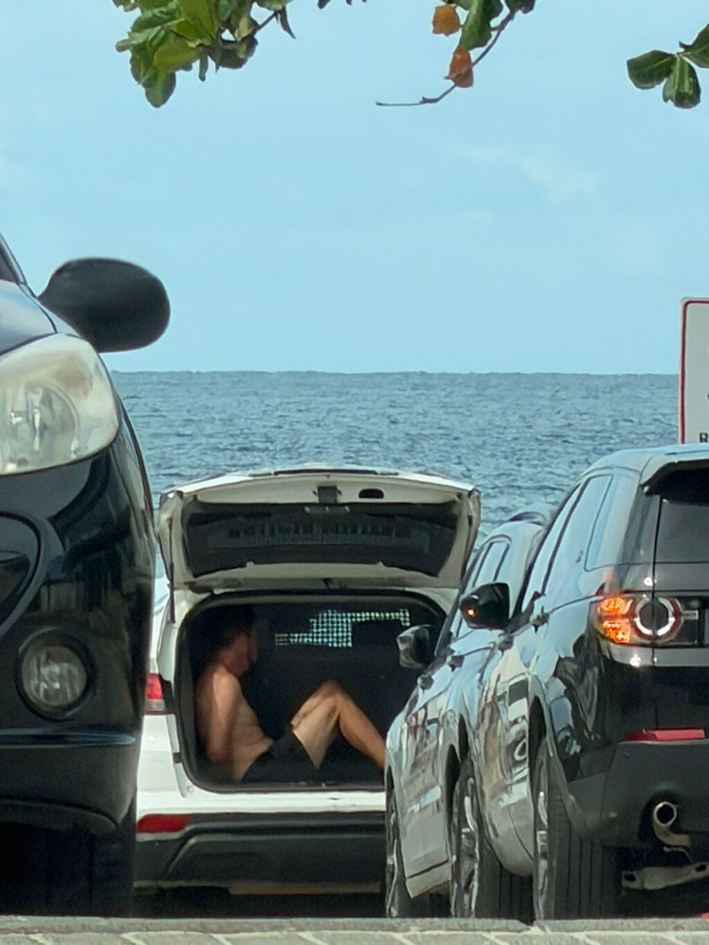 WhatsApp Image 2026-02-04 at 15.52.09