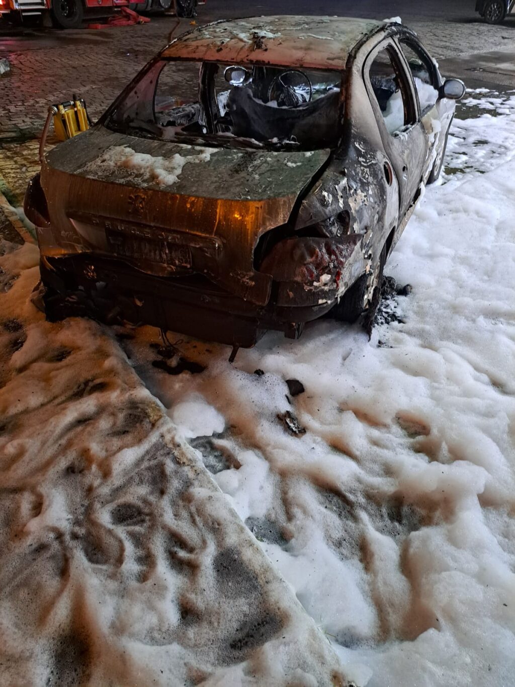 WhatsApp Image 2026-02-08 at 06.13.41 (1)