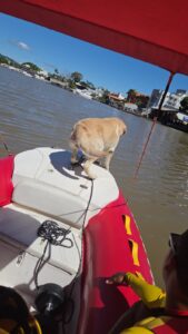 WhatsApp Image 2026-04-09 at 20.56.51