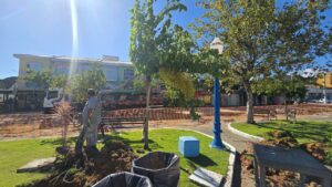 WhatsApp Image 2026-04-23 at 10.57.28