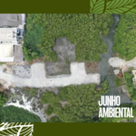 Junho Ambiental: MPF obtém decisão para suspender obras de ponte em Porto Belo (SC) por danos a manguezal